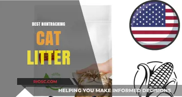 Top Non-Tracking Cat Litter Options for a Cleaner Home