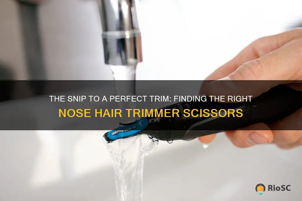 best nose hair trimmer scissors