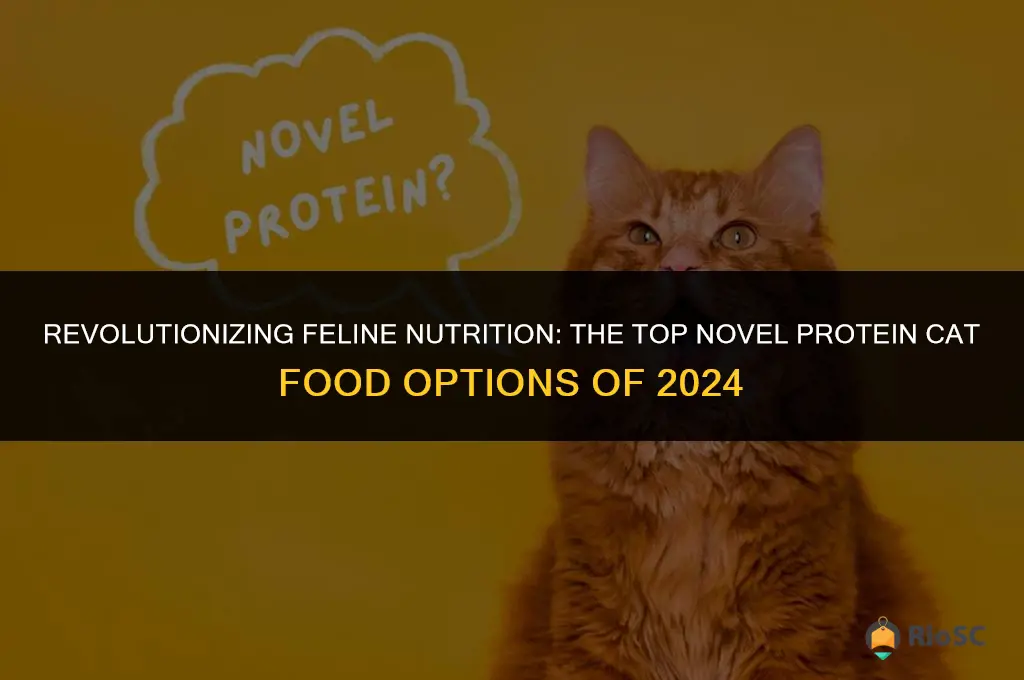 best novel protein cat food