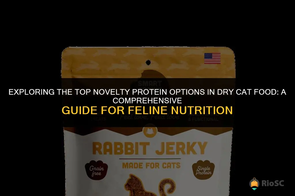 best novelty protein dry cat foods