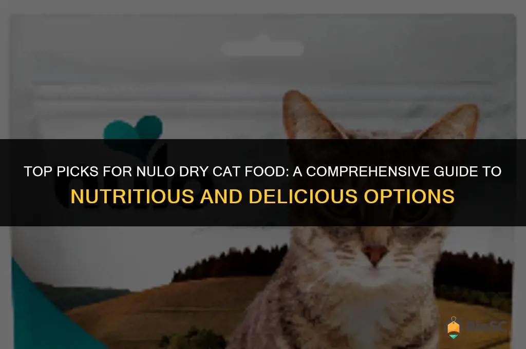best nulo dry cat food