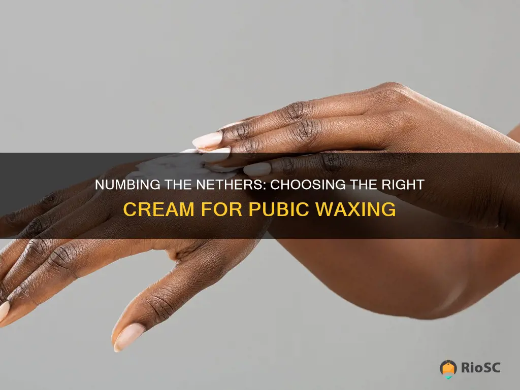 best numbing cream for waxing pubic hair