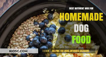 Wholesome Bites: Crafting the Perfect Nutrient Mix for Homemade Dog Food