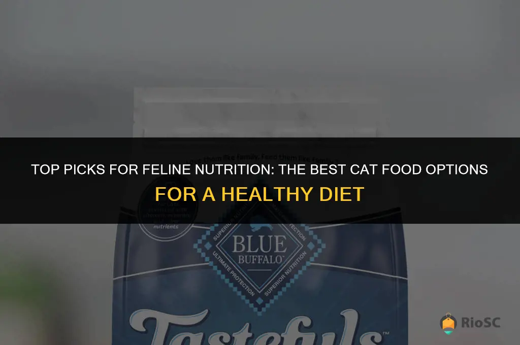 best nutrition cat food