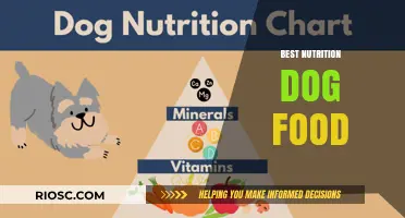 Optimal Nutrition for Canines: A Guide to the Best Dog Food Choices