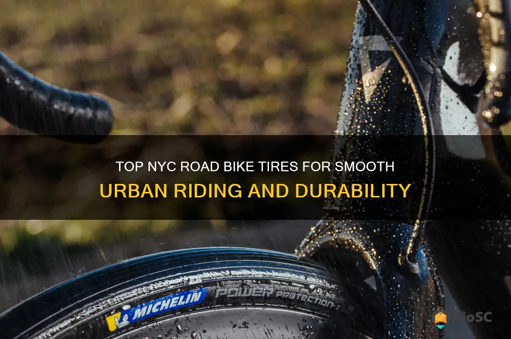 best nyc road bike tires