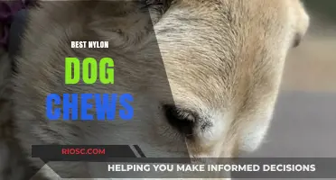 Top Nylon Dog Chews: Durable, Safe, and Long-Lasting Options for Your Pup