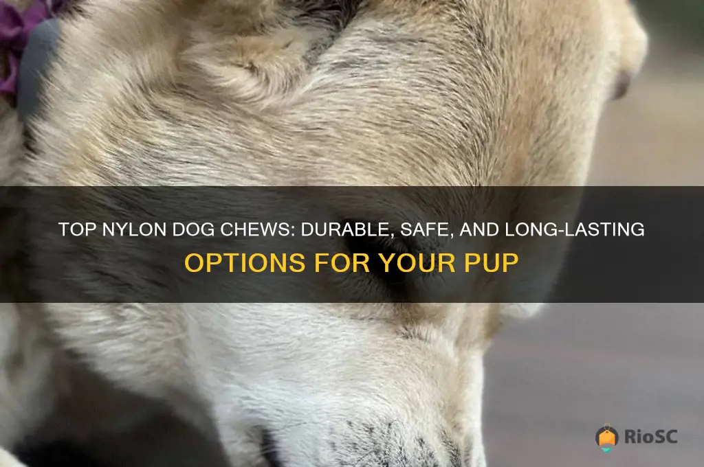 best nylon dog chews