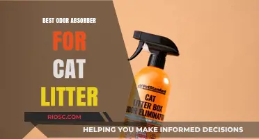 Top Odor Absorbers for Cat Litter: Keep Your Home Fresh and Clean