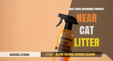 Top Odor-Absorbing Solutions to Keep Your Cat Litter Area Fresh and Clean