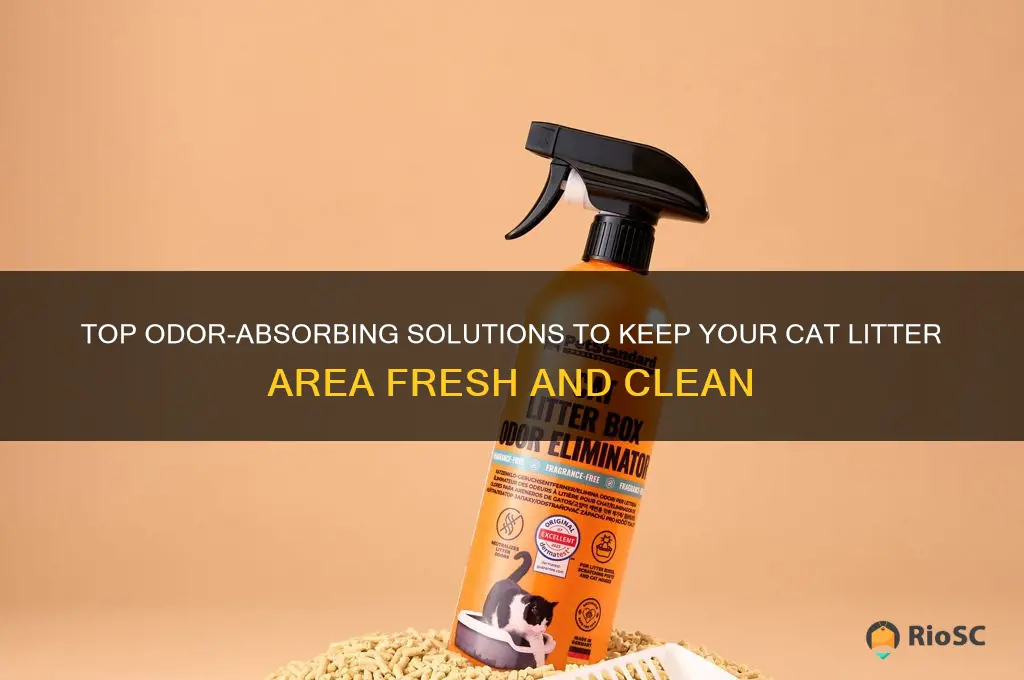 best odor absorbing product near cat litter