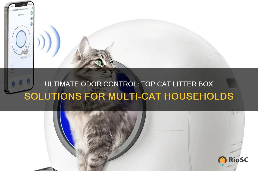 best odor control cat litter box for multiple cats