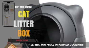 Top Picks for Odor-Free Homes: The Best Odor Control Cat Litter Boxes of the Year