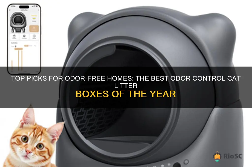 best odor control cat litter box