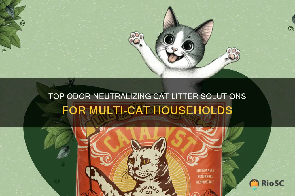 best odor control cat litter for multiple cats