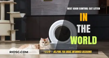 Revolutionary Odor Control: Discover the World's Best Cat Litter for a Fresh and Clean Home