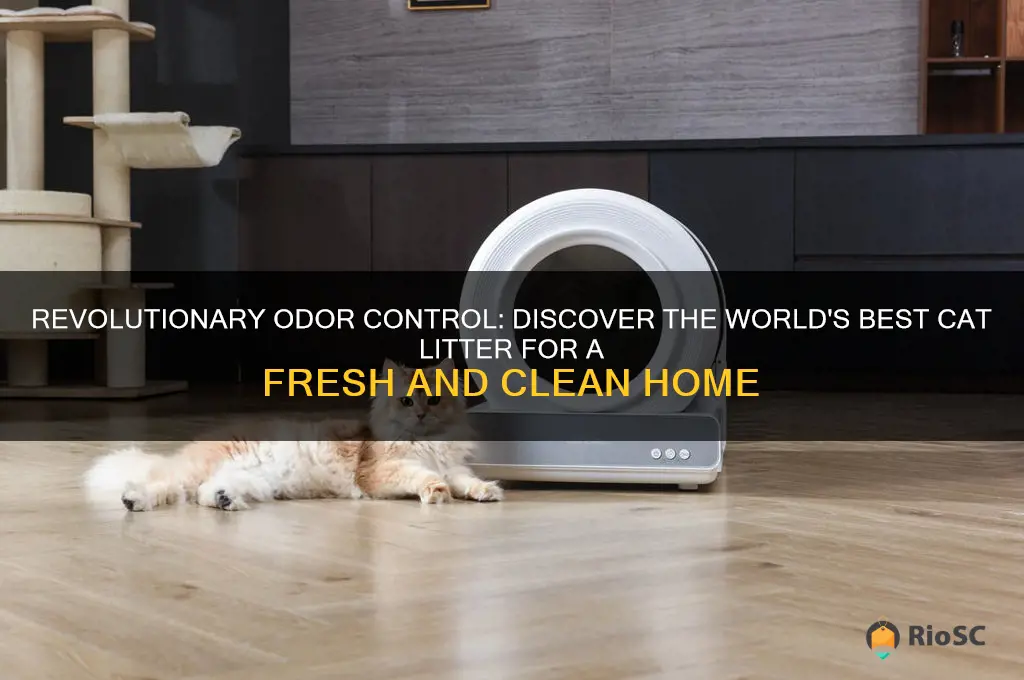 Photo inspiration: Fresh Look at Revolutionary Odor Control Discover The World S Best Cat Litter