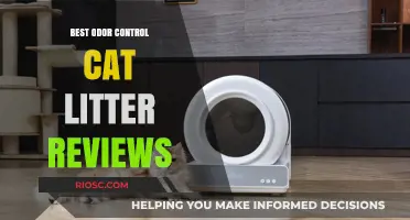 Top-Rated Odor Control Cat Litters: Expert Reviews for a Fresh-Smelling Home