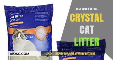 Top Odor Control Crystal Cat Litter Options for a Fresh and Clean Home