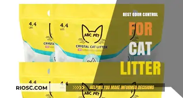 Effective Odor Control Solutions for Cat Litter: Keeping Your Home Fresh and Clean