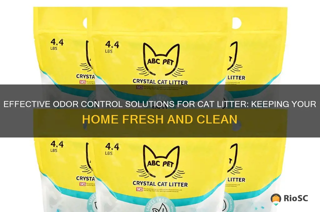 best odor control for cat litter