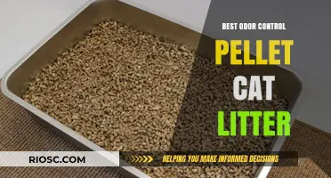 Fresh and Clean: Top Odor Control Pellet Cat Litter Options for a Scent-Free Home