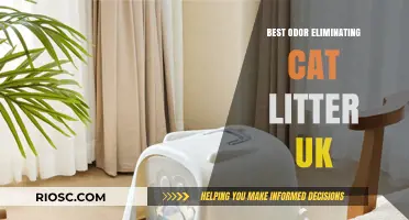 Top Odor-Eliminating Cat Litters in the UK: Fresh Solutions for a Scent-Free Home