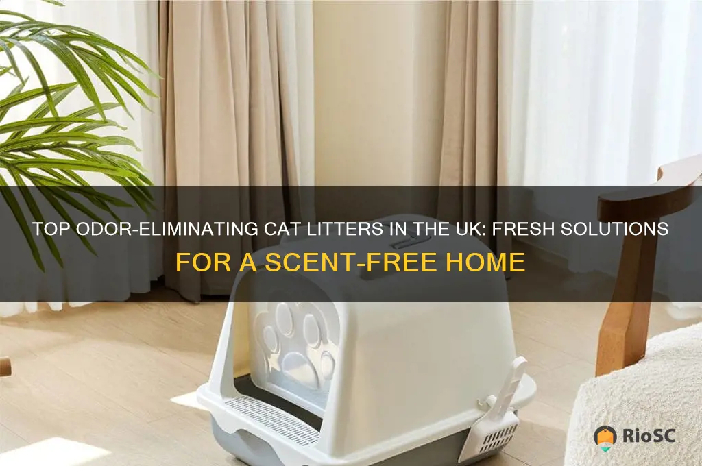 Photo inspiration: Visual Reference: Top Odor Eliminating Cat Litters In The Uk Fresh Solutions