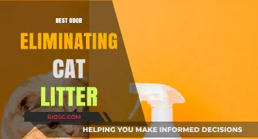 Fresh and Clean: Top Odor-Eliminating Cat Litters for a Scent-Free Home