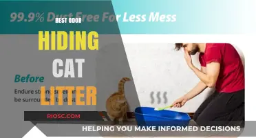 Top Odor-Neutralizing Cat Litters: Keep Your Home Fresh and Clean