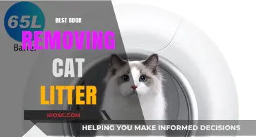 Fresh Feline Spaces: Top Odor-Removing Cat Litters for a Scent-Free Home