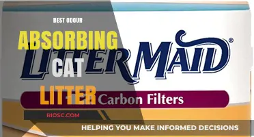 Top Picks for Odor-Free Homes: The Best Odor-Absorbing Cat Litters Reviewed