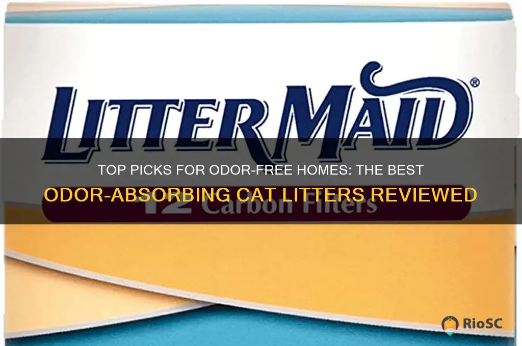 Zero Odor Dust Free Cat Litter For Homes With Pets Reference: Top Picks For Odor Free Homes The Best Odor Absorbing