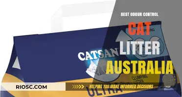 Top-Rated Odour Control Cat Litter Options in Australia: Keep Your Home Fresh and Clean