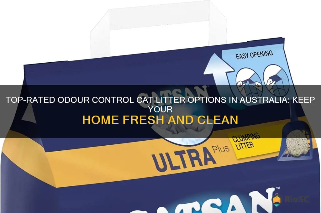 best odour control cat litter australia