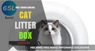 Top Picks for Odor-Free Homes: The Best Odor Control Cat Litter Boxes Reviewed