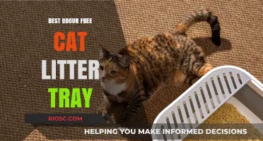 Top Picks for Odour-Free Cat Litter Trays: Keep Your Home Fresh and Clean