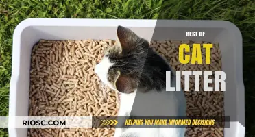 Purr-fect Choices: The Ultimate Guide to the Best Cat Litter Options
