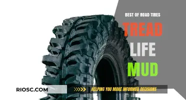 Long-Lasting Road Tires with Superior Mud Tread Life: Top Picks for Durability and Performance