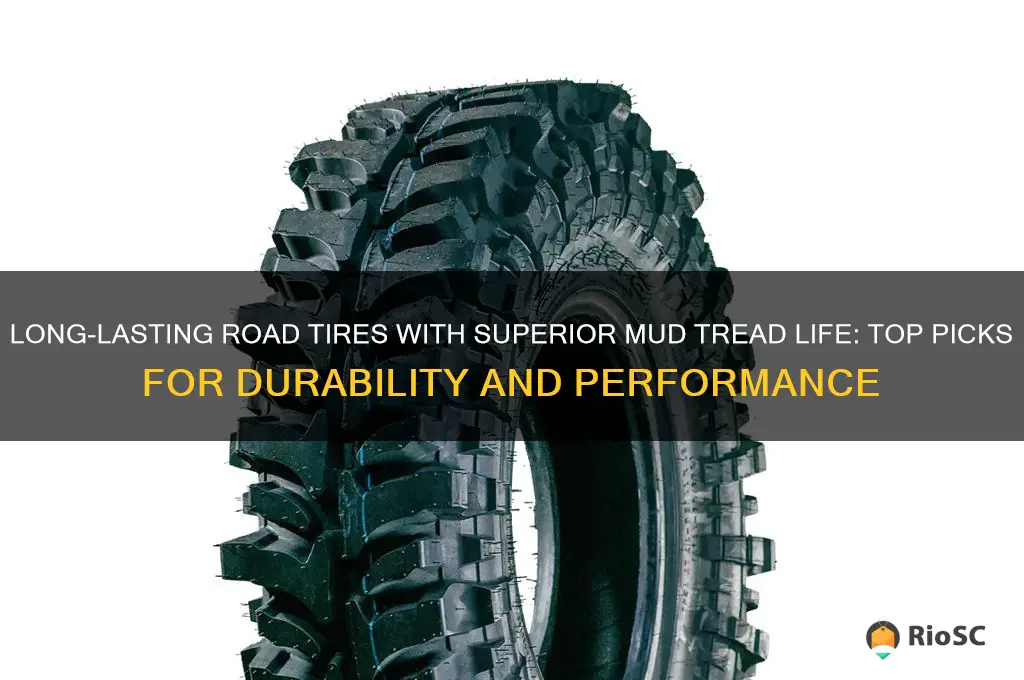 best of road tires tread life mud
