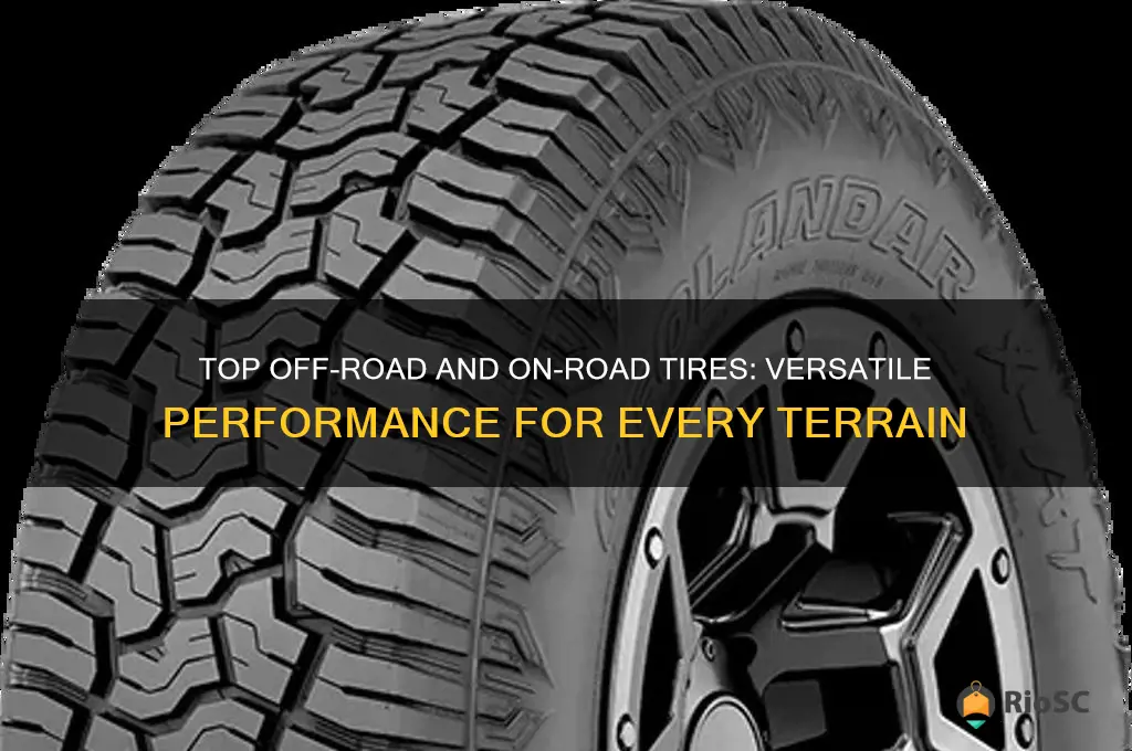 best off and on road tires