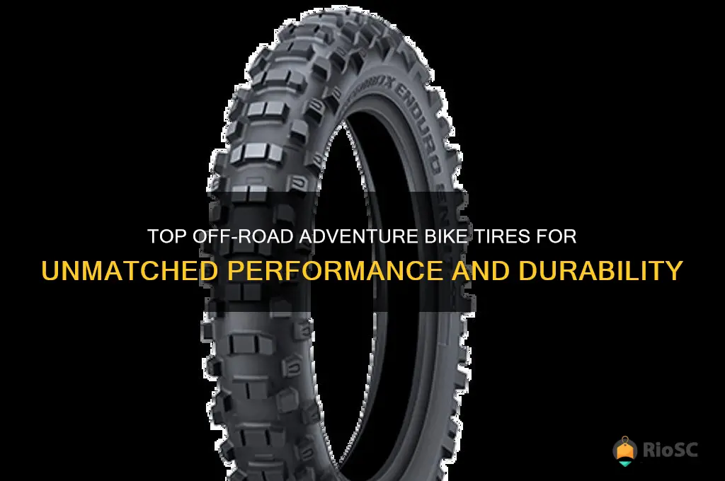best off road adventure bike tires