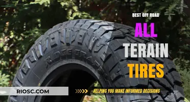 Top-Rated All-Terrain Tires for Ultimate Off-Road Performance and Durability