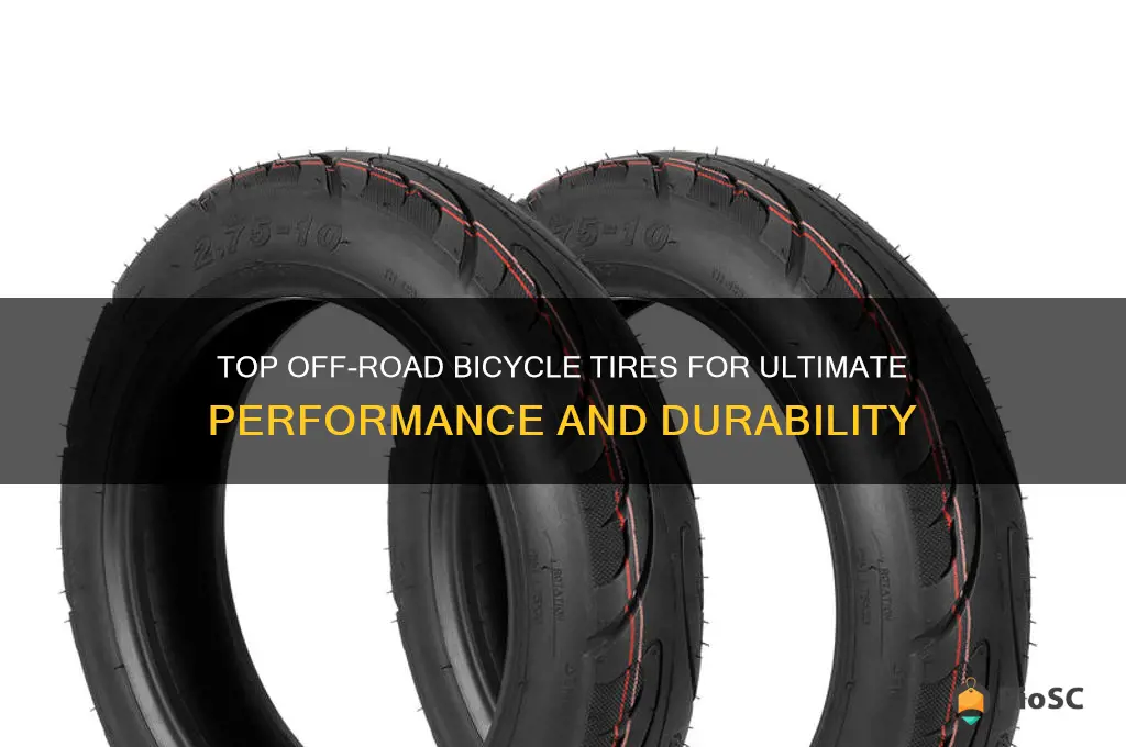 best off road bicycle tires
