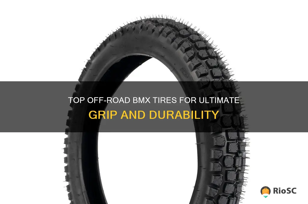 best off road bmx tires