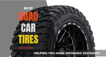 Off-Road Adventures: Choosing the Right Tires for the Rugged Path