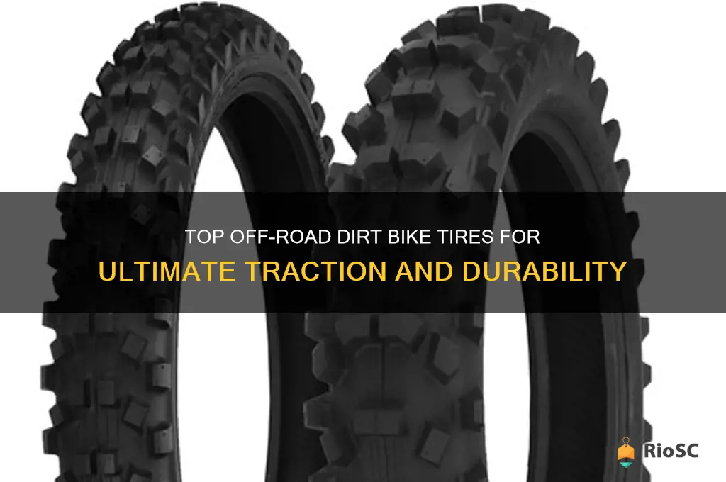 best off road dirt bike tires