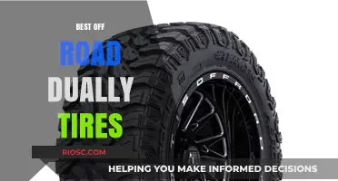 Top Off-Road Dually Tires for Ultimate Performance and Durability