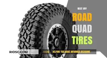 Top Off-Road Quad Tires for Ultimate Performance and Durability
