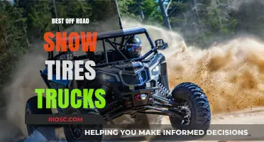 Top Off-Road Snow Tires for Trucks: Conquer Winter Trails with Confidence